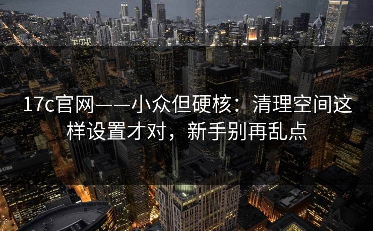 17c官网——小众但硬核：清理空间这样设置才对，新手别再乱点
