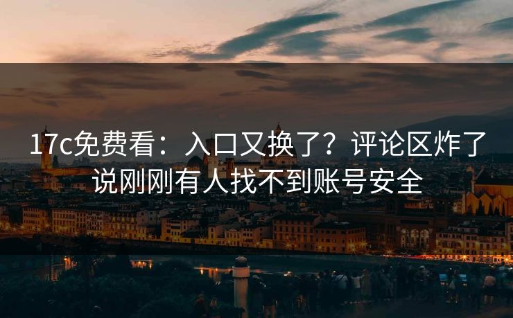 17c免费看：入口又换了？评论区炸了说刚刚有人找不到账号安全