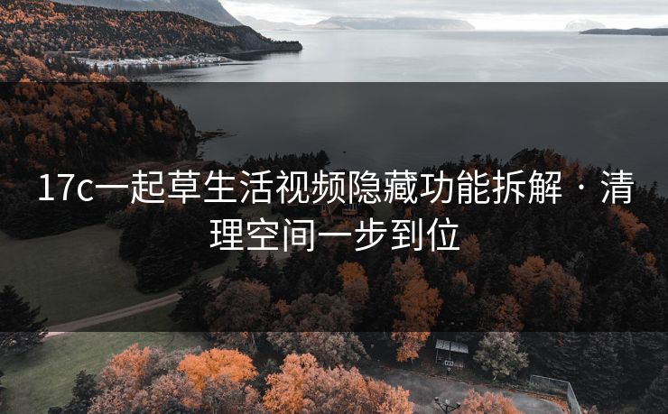 17c一起草生活视频隐藏功能拆解 · 清理空间一步到位
