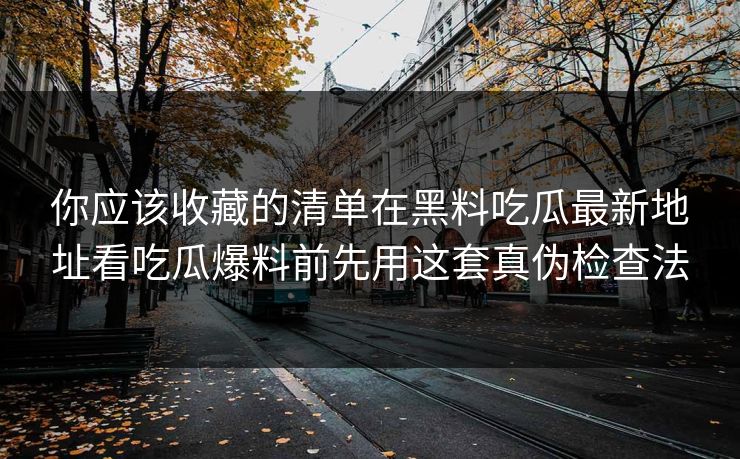 你应该收藏的清单在黑料吃瓜最新地址看吃瓜爆料前先用这套真伪检查法